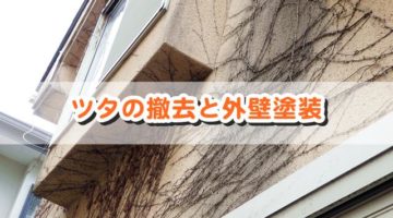 外壁のツタを撤去して塗装をする正しい手順