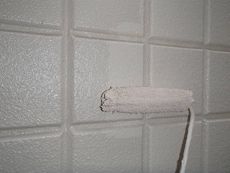 中塗り・上塗りには水性セラミシリコンを使用しています。