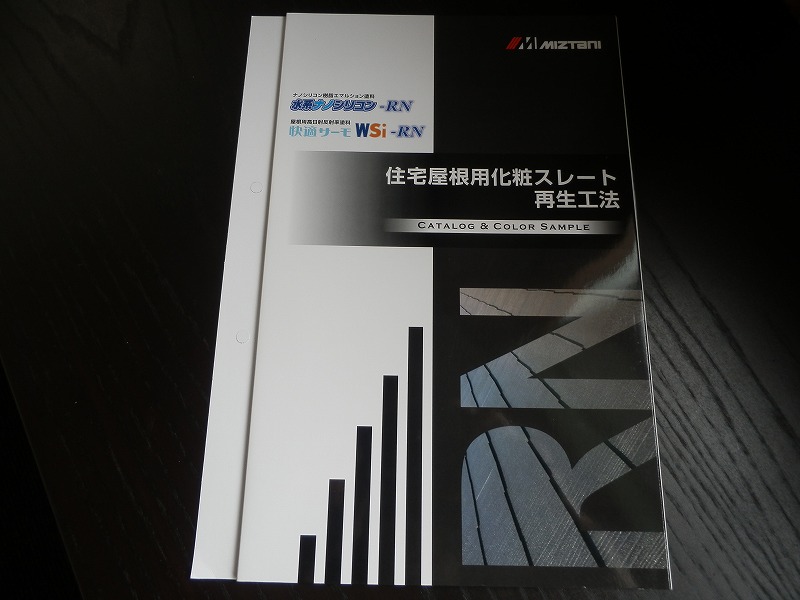 P6160363