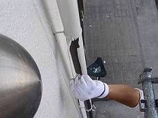 雨樋は白系で塗装。