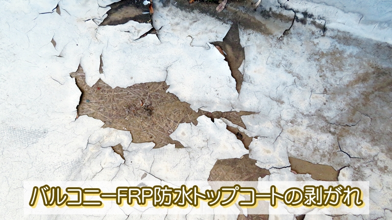 バルコニーFRP防水トップコートの剥がれ