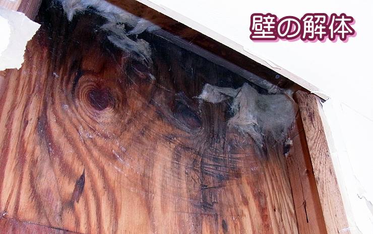 雨漏り後の室内壁の解体