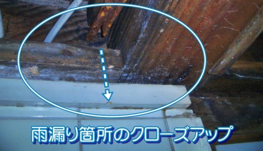 雨漏り箇所のクローズアップ