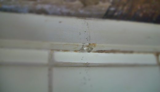 雨漏りの雫