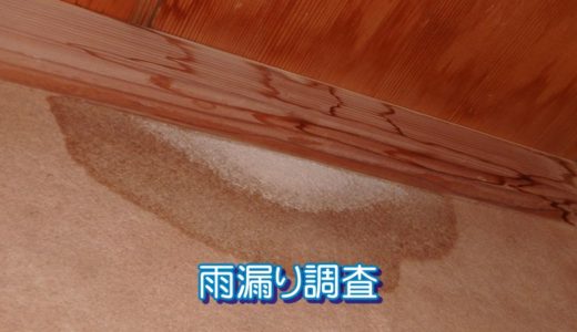 雨漏り調査