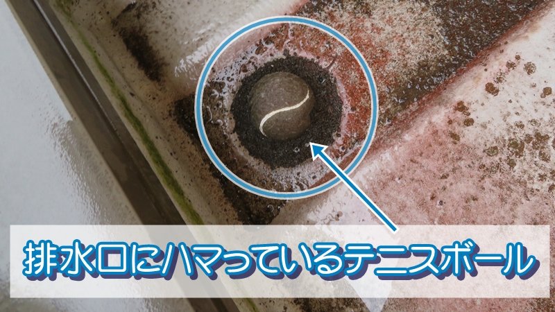 排水口にハマっているテニスボール