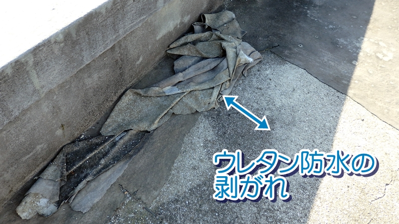 ウレタン防水の剥がれ