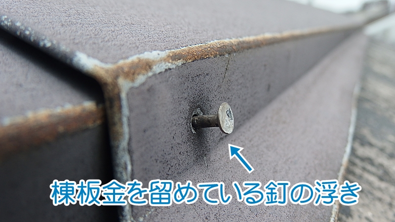 棟板金を留めている釘の浮き