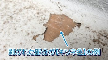 剥がれた部分が【キツネ色】の例