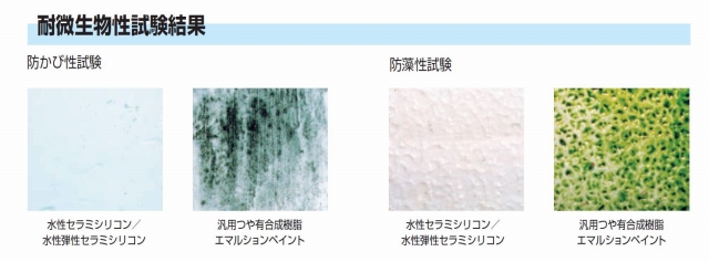 耐微生物性試験結果