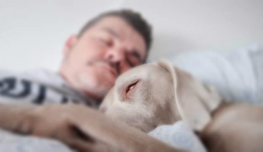塗料の臭いで寝込んでしまった犬と飼い主