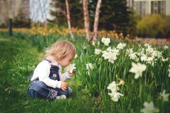 花の匂いを嗅ぐ子ども