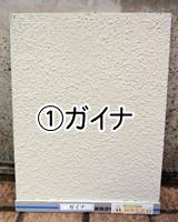 ①ガイナ