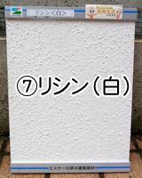 ⑦リシン(白)
