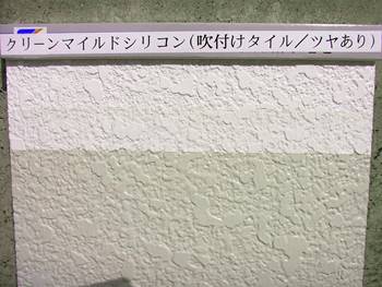 ①クリーンマイルドシリコン（吹付けタイル・ツヤあり）