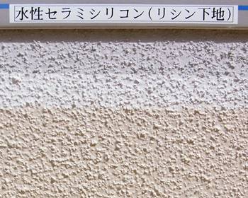 水性セラミシリコン（リシン下地）-ラベル