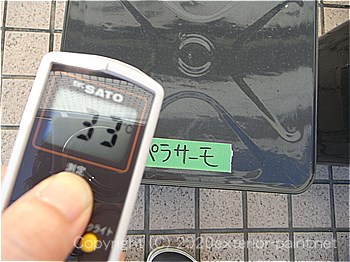 20120年7月10日17時-遮熱塗料実験金属屋根の遮熱塗料