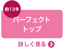 パーフェクトトップ