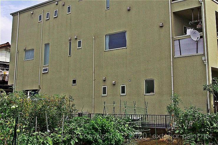市民農園の影響でコケが生えている外壁
