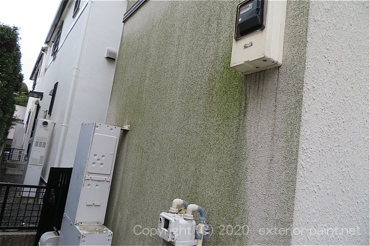コケが生えて汚れた外壁