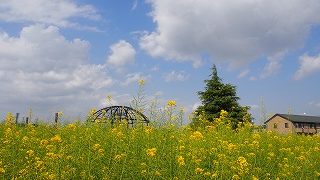 P4190570-320×180