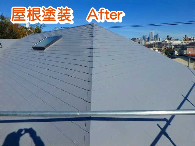 %E5%B1%8B%E6%A0%B9%E5%A1%97%E8%A3%85N%E6%A7%98%E9%82%B8PB250889_s_640_txt