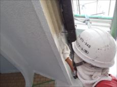 20110825_230_P8250121_s