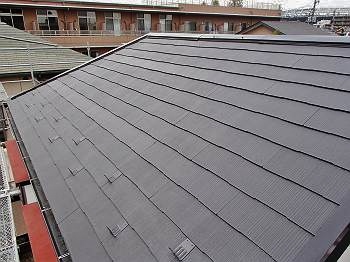 20130521PP5210018-s_s