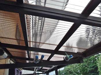 20131109PB094162-s_s