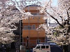 20140405P4056667-s-thumb-400x300_s