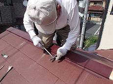 20140528_230_P5280321-s_s