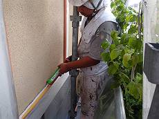 20140822P8225558-s_s