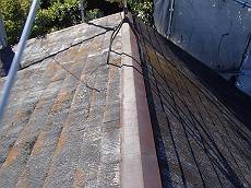 20141014_230_PA149792-s_s