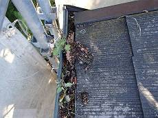 20141014_230_PA149816-s_s