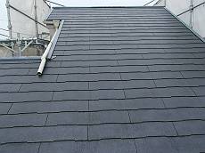 20141015_230_PA159989-s_s