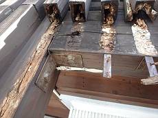 20141202_230_PC020017_R_s