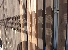 20141203_230_PC030125_R_s