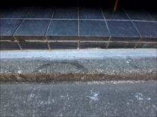 20141209_230_PC097847_R_s