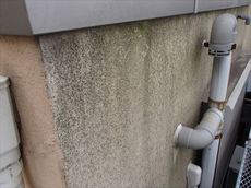 20140620_720_074-thumb-230xauto-660