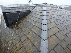 20151125_230_PB250737_s-s_s-thumb-230×172-676