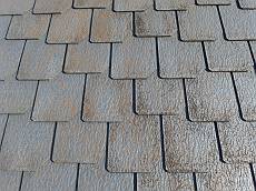 20150109_230_PC120273_s