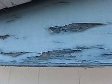 20150109_230_PC120287_s