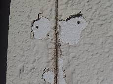 20150109_230_PC120298_s