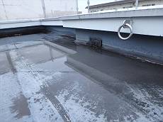 20150121_230_P1218558_R_s