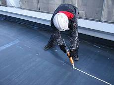 20150128_230_DSCF4331_R_s