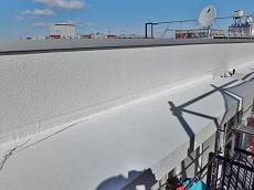 20150214_230_P2140381_R_s