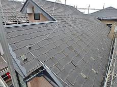 20150309_230_P3096822-s-s_s