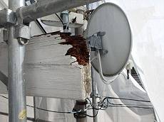 20150317_230_P3170369_R_s