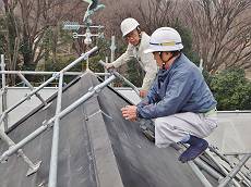 20150319_230_P3190656_R_s