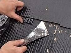 20150321_230_P3210005_R_s